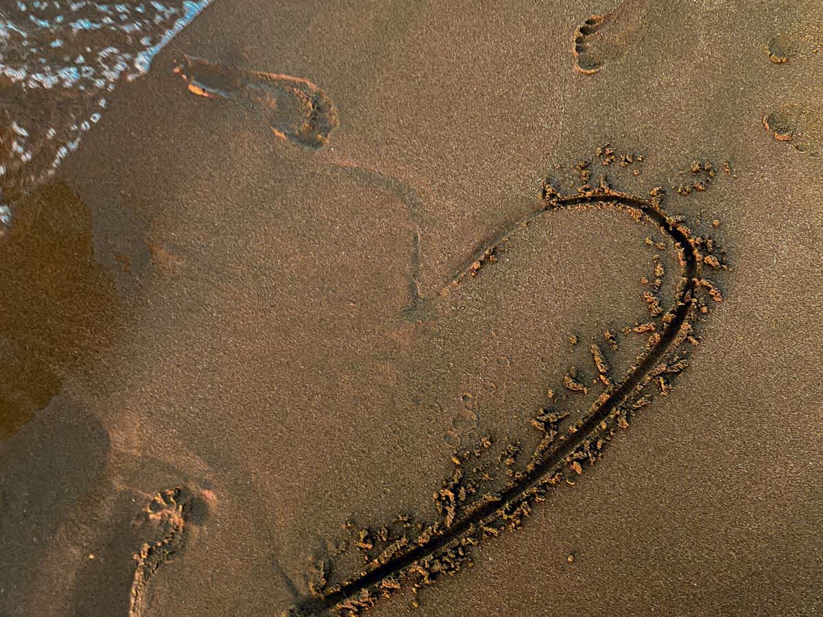 Featured image of 1 Kings Chapter 15 - Half-hearted Hearts