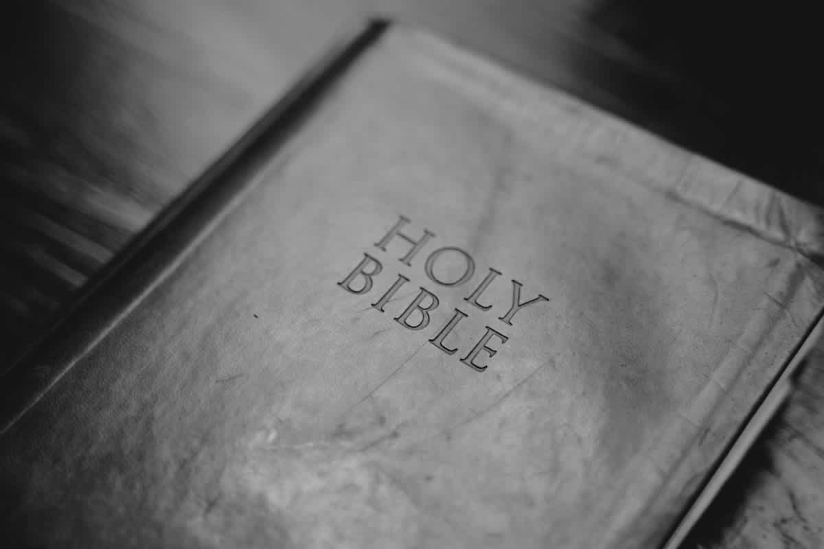 Featured image of Romans Chapter 1 - Ashamed of the Gospel?