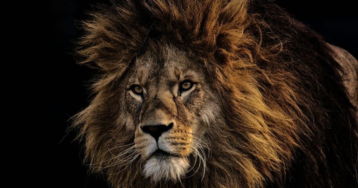 Featured image of Daniel Chapter 6
