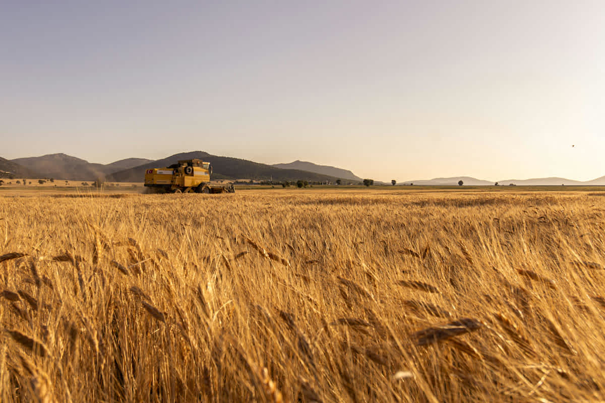 Luke Chapter 10 - The Way He Sends Us