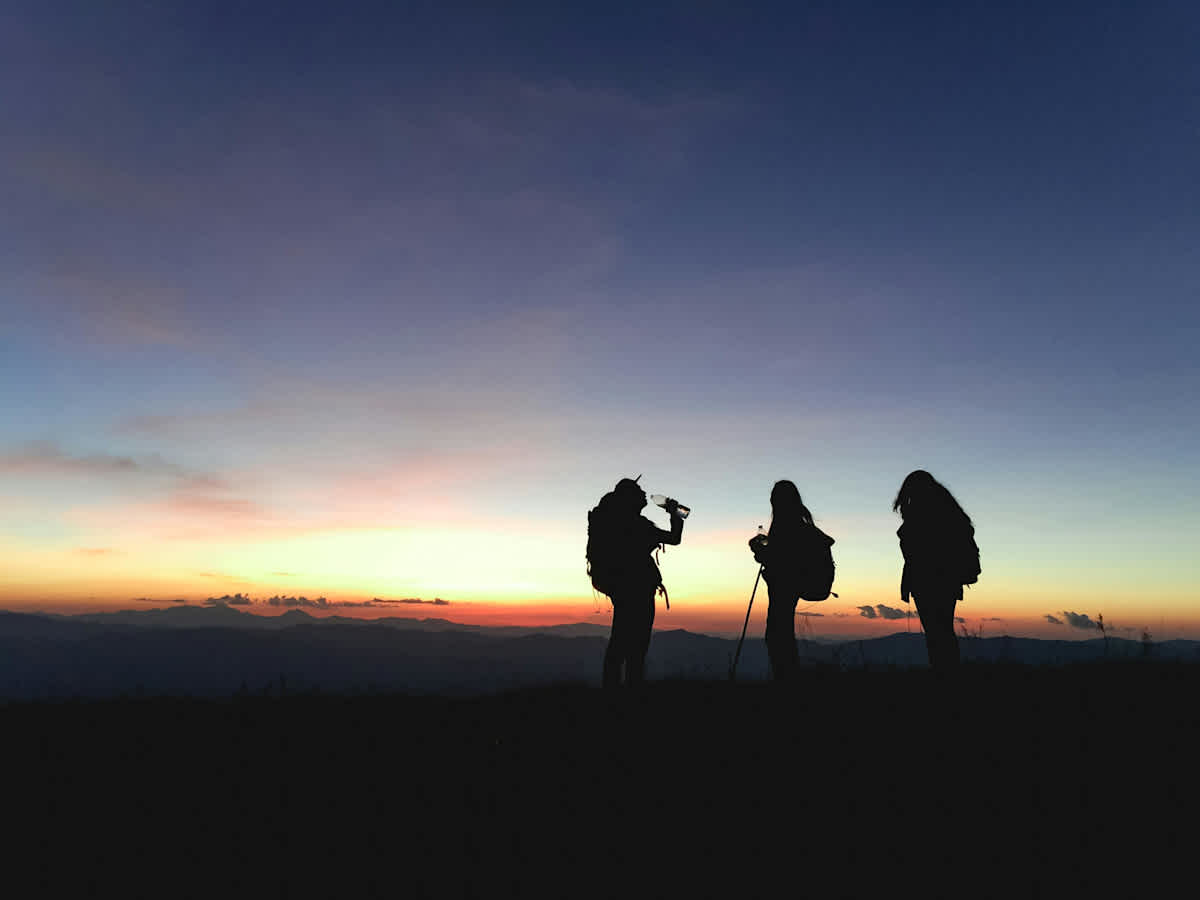 Featured image of Matthew Chapter 19 - Four Kinds of Followers 