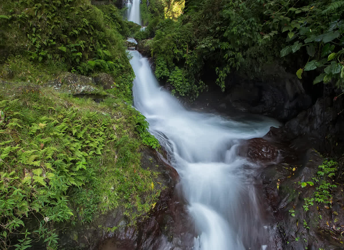 Featured image of 1 Timothy Chapter 1 - Abundant Grace That Flows Like Water