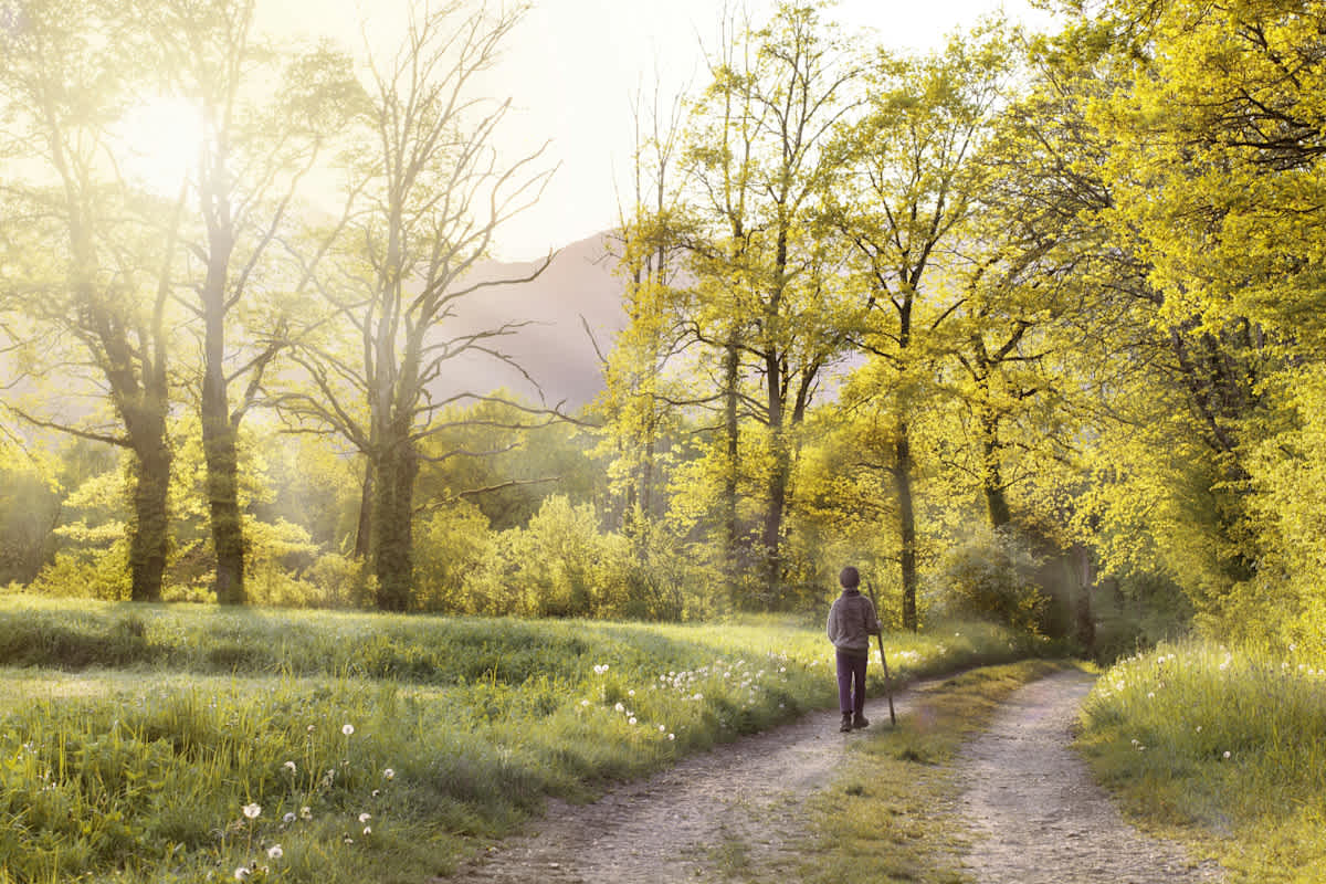Featured image of Micah Chapter 6 – How Shall We Come Before the LORD?