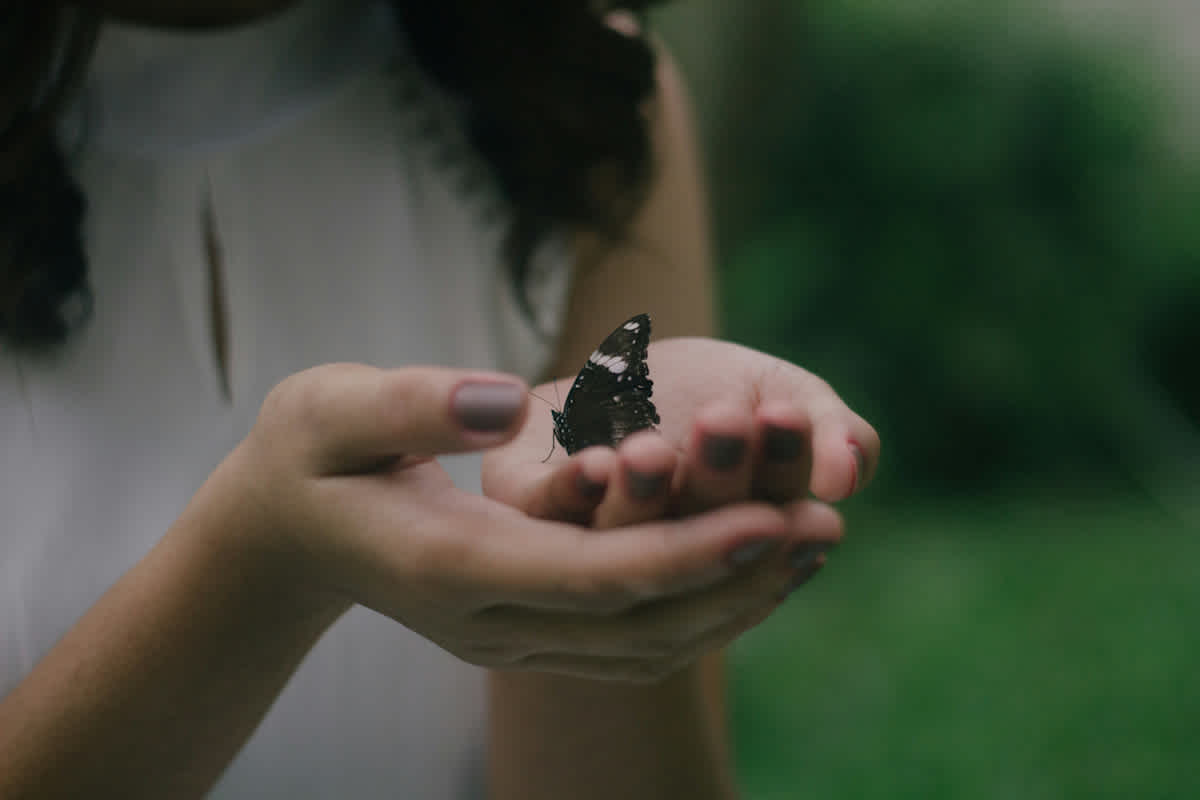 Featured image of Be Gentle in Your Words