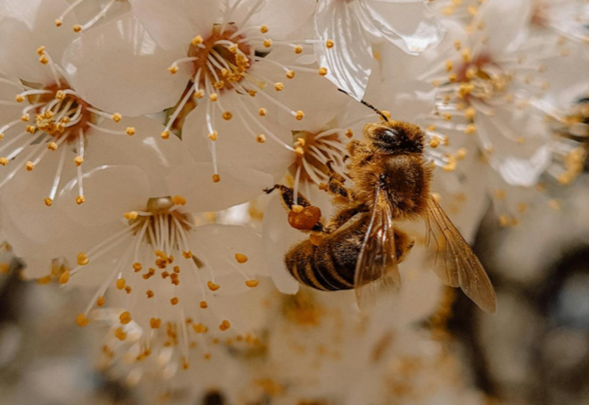 Featured image of Judges Chapter 4 - Facing the Battle Together