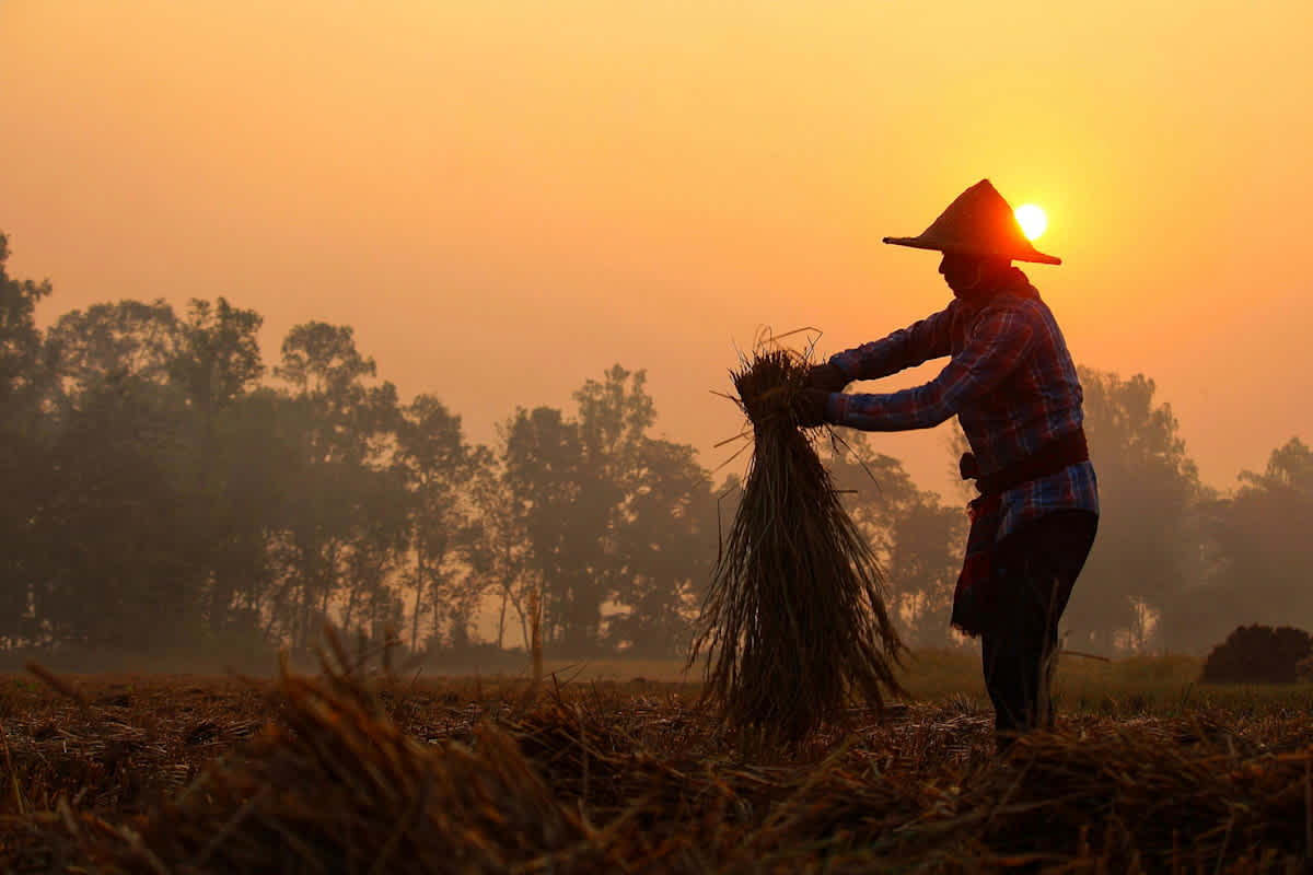 Featured image of 1 Corinthians Chapter 3 - The Farmer and the Builder
