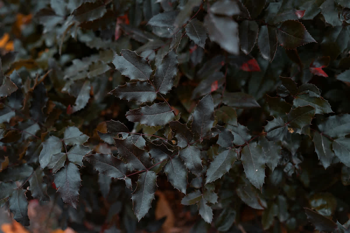 Featured image of Ezekiel Chapter 7 - Loving Through Repetition