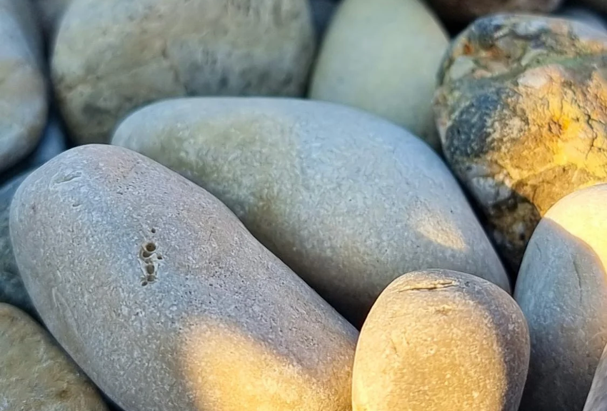 Featured image of Judges Chapter 2 - From Gilgal to Bochim