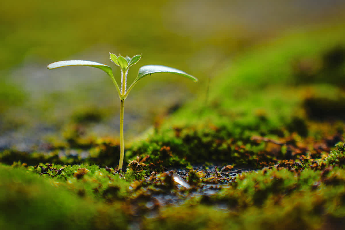 Featured image of 2 Thessalonians Chapter 3 – Doing Good