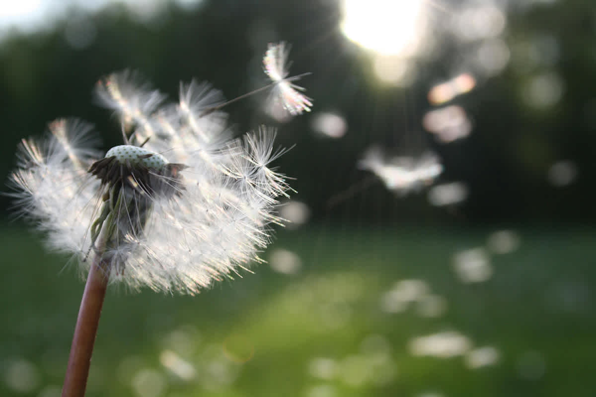 Featured image of Speaking in Tongues is the Only Evidence of Receiving the Holy Spirit