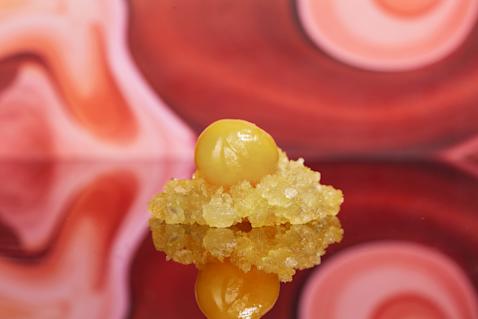 solvent article 1 image