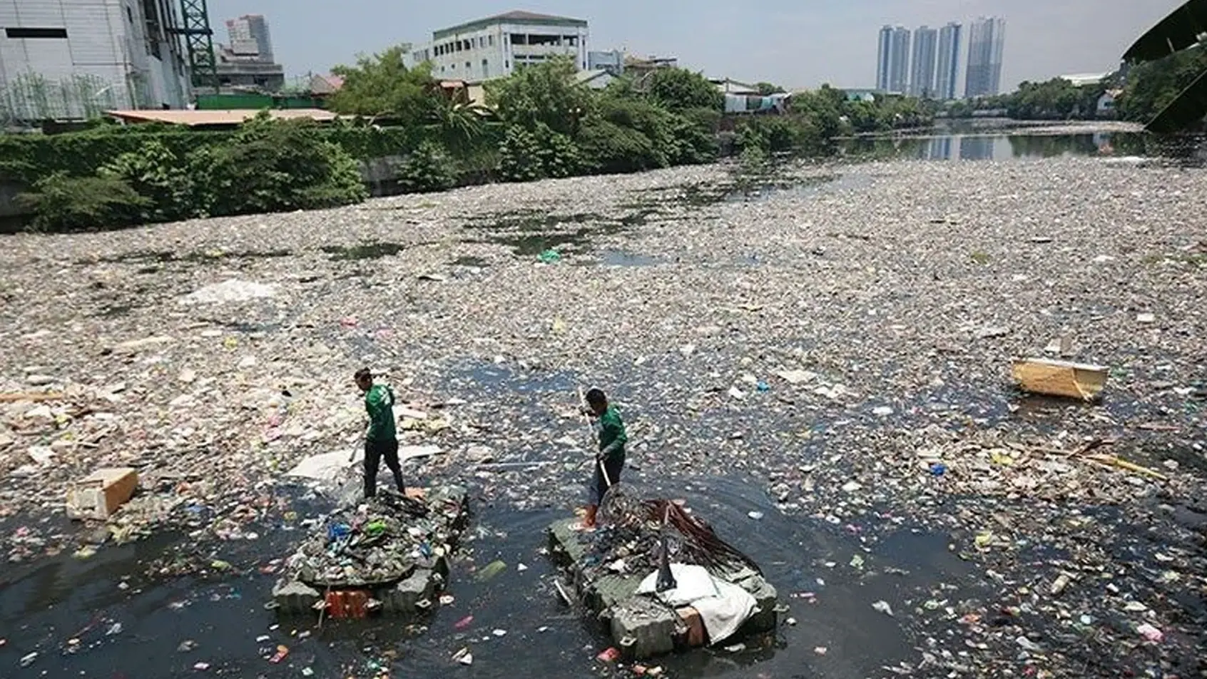 In Manila, a big city in the Philippines with 13 million people on an area of 1,470 square kilometres, there are amazing “river warriors”. They work really hard to clean up the dirty Pasig River, removing lots of plastic and rubbish. These heroes are making the river better and teaching people how to take care of it.