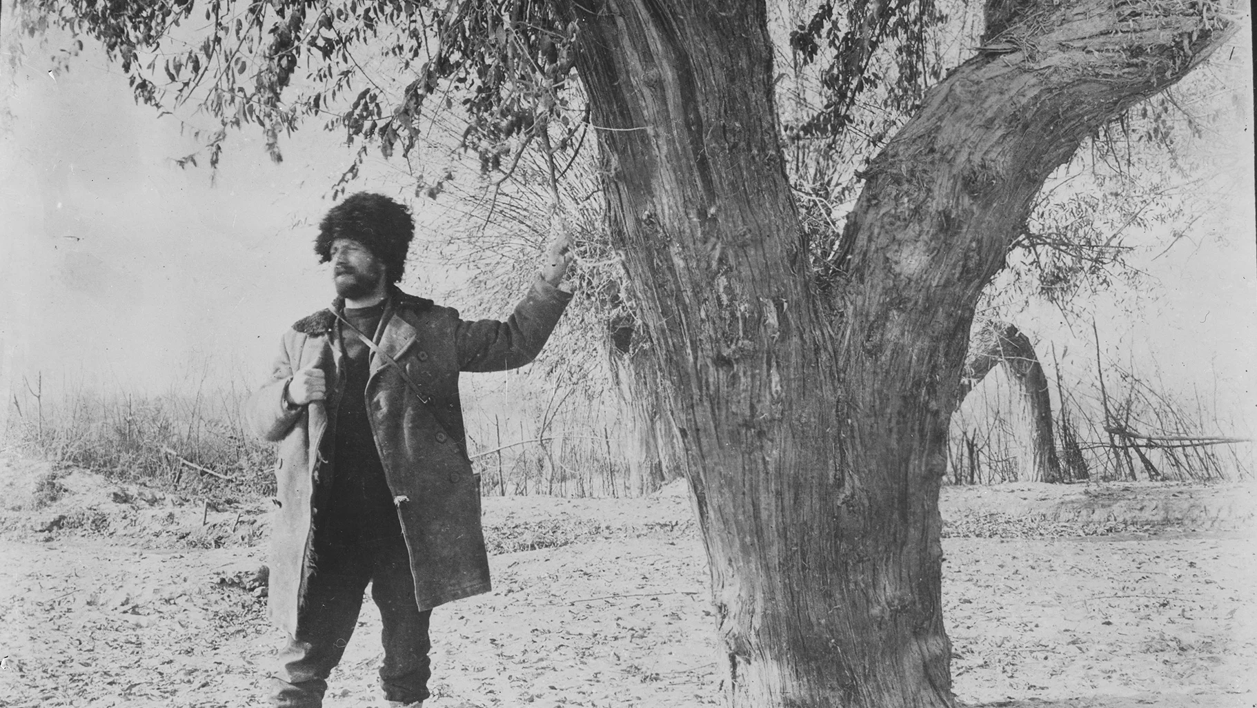 Frank Nicolas Meyer (1875-1918) was a plant explorer who traveled to China to collect seeds and plant specimens. He introduced many plants to the United States, including the delicious Meyer lemon. Meyer faced many challenges during his travels, including bandits and disease. He died while on one of his trips, leaving behind a legacy of botanical discoveries.