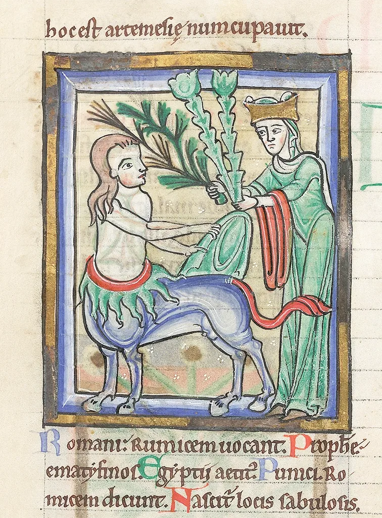 This picture is from a serious book about plants and healing from the 1200s! The image depicts the goddess Diana giving herbs to the centaur Chiron. According to legend, Chiron later named these herbs after Diana. 