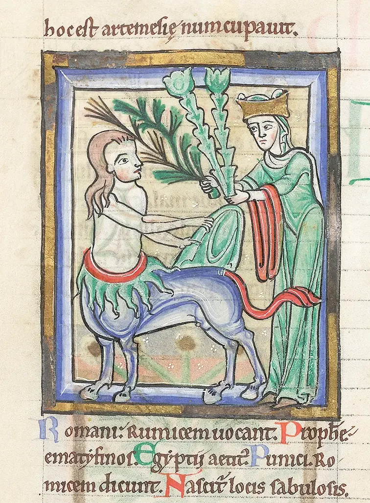 This picture is from a serious book about plants and healing from the 1200s! The image depicts the goddess Diana giving herbs to the centaur Chiron. According to legend, Chiron later named these herbs after Diana. 
