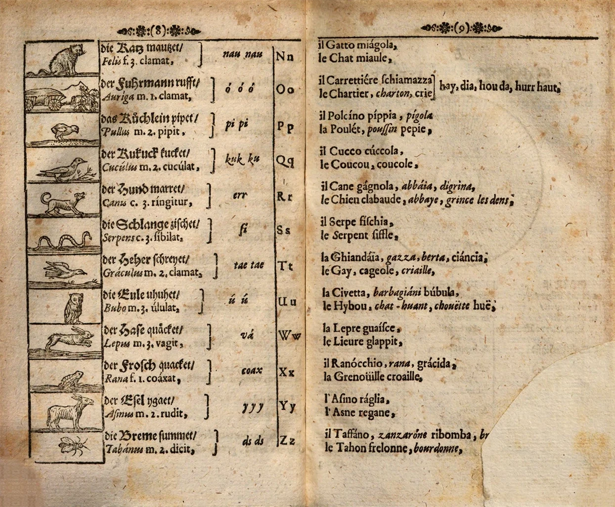 This is one of the first children’s picture dictionaries to teach the sounds of letters. Each letter is shown with an animal and the noise it makes. Sometimes letters sound different from how they are written. The chick says “peep, peep” for P, but the cuckoo says “kuk ku” which makes a Q sound. Printed in Nuremberg about 360 years ago, the dictionary shows the same word in four languages: German, Latin, Italian, and French.
