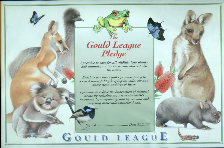 A Gould League membership certificate decorated with different plants and animals such as koalas, kangaroos, wallabies, frogs, butterflies, lizards and birds which frame the Gould League Pledge.