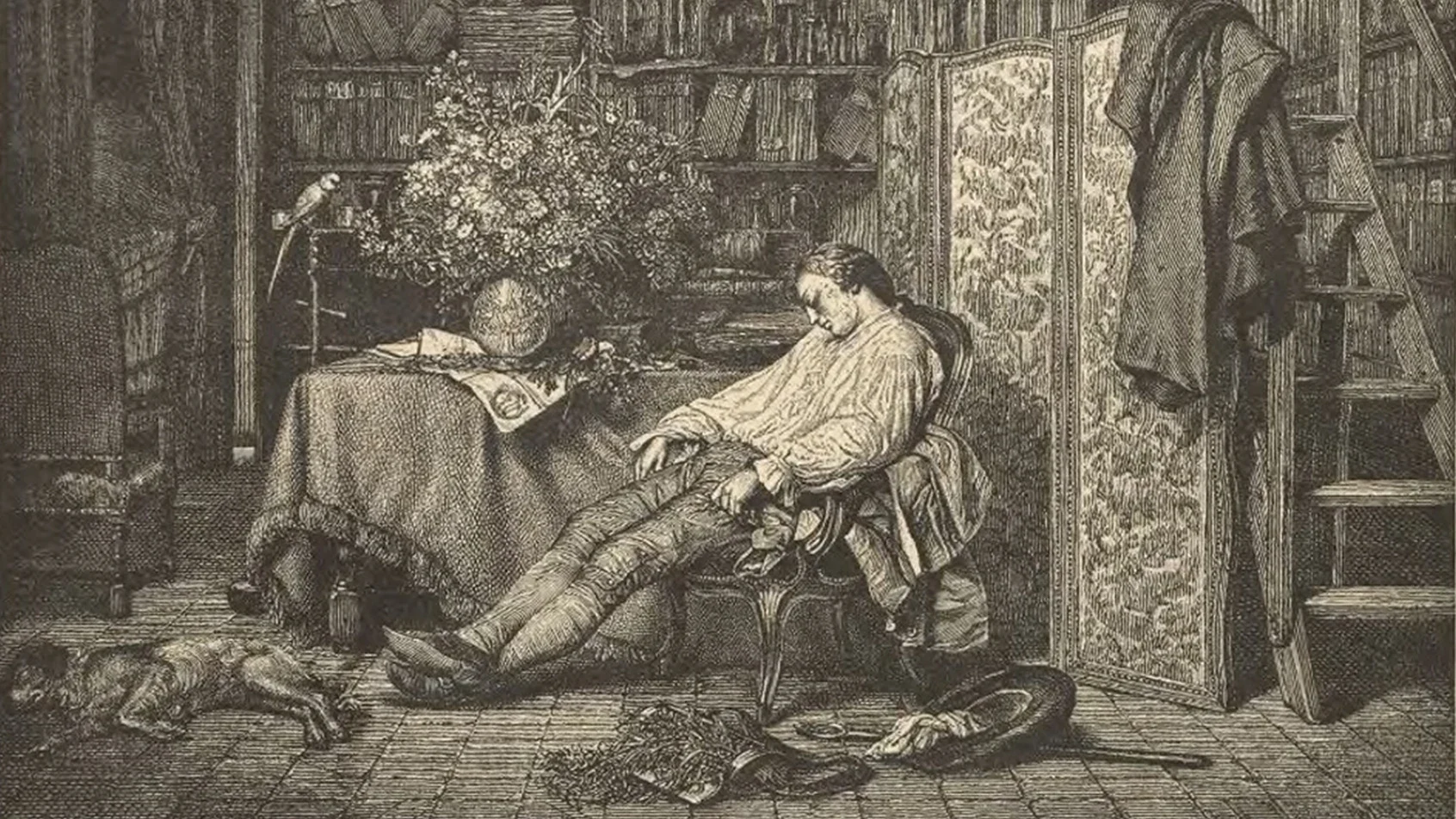 No wonder Carl Linnaeus (1707-1778) is sleeping after a long day of plant collecting! Linnaeus wasn’t just any plant collector. The Swedish naturalist developed a system for naming and classifying plants that is still in use today. Linnaeus's book Philosophia Botanica describes his classification system and gives detailed instructions on how to collect plants and set up an herbarium (plant collection).