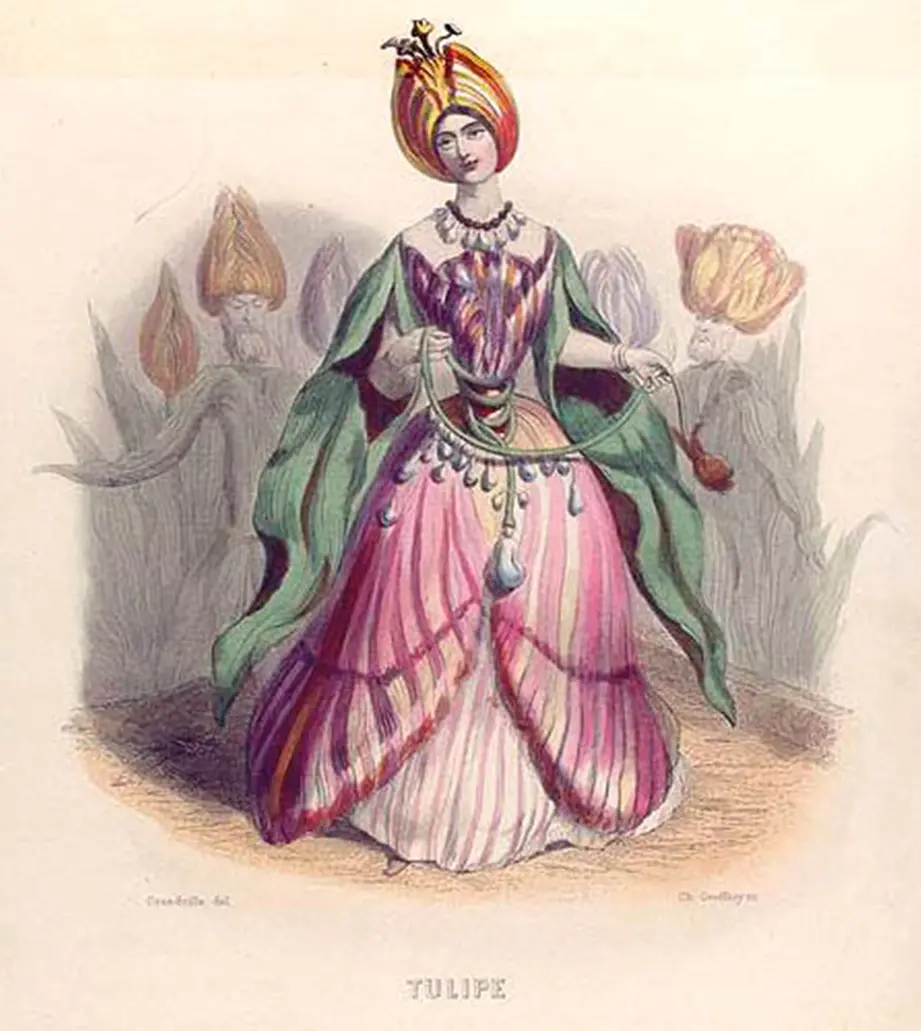 Do you recognize this flower? This bizarre but charming tulip comes from a book called Les fleurs animées (Flowers personified) by J.J. Grandville. The book shows fashionable French women depicted as flowers and poisonous herbs! 