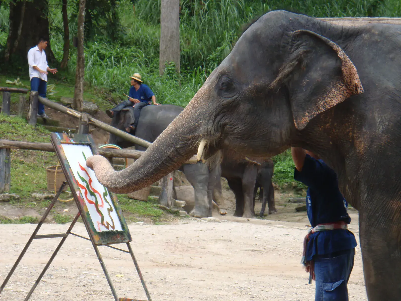 Do you think only humans can make art? What if animals like elephants could make art, too? If an elephant were painting, what things do you think it would depict? Would its painting be different from what a human would paint?