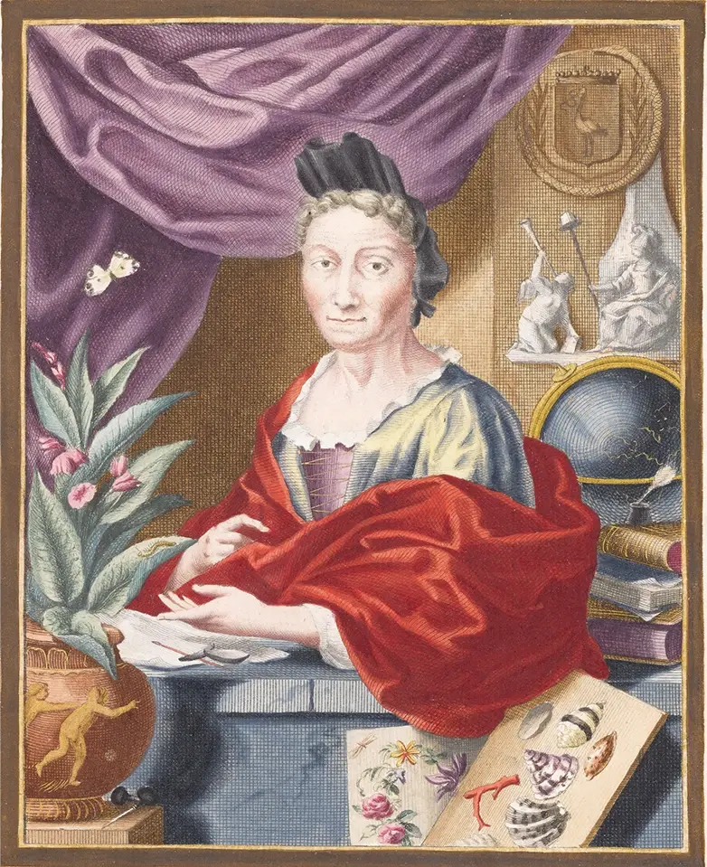 In seinem Buch Systema Naturae beschrieb Linnaeus alle 4’400 Tierarten, die der Wissenschaft damals bekannt waren. Für mindestens 130 davon stützte er sich auf die Illustrationen von Maria Sibyla Merian (1647-1717). Merian war eine bahnbrechende Naturforscherin und eine der ersten Frauen, die ihren Lebensunterhalt mit der Wissenschaft verdiente. Ihre Illustrationen von Pflanzen und Insekten beeinflussten viele einflussreiche Denker ihrer Zeit.