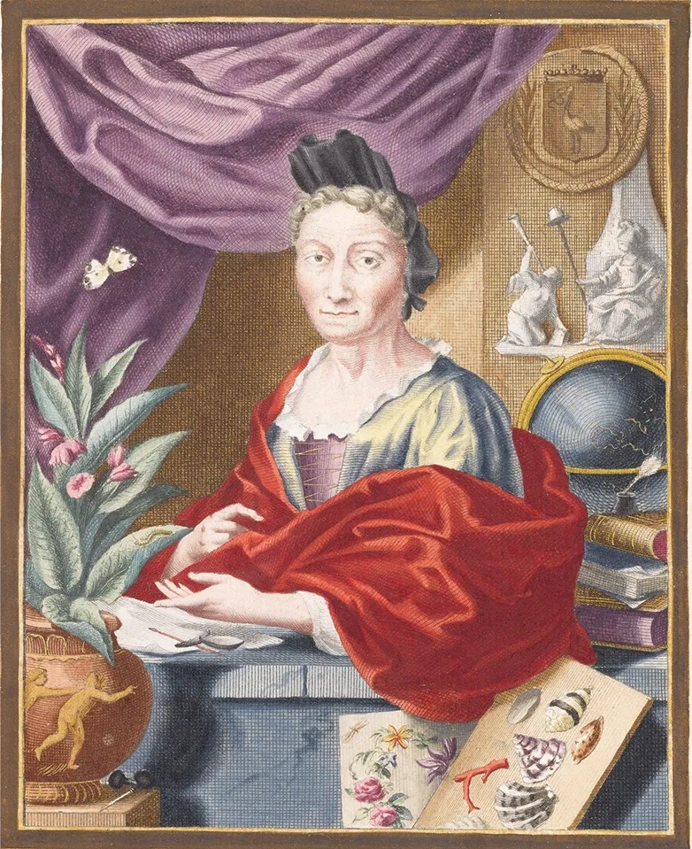 In his book Systema Naturae, Carl Linnaeus described all 4,400 animal species known to science at the time. For at least 130 of these species, he relied on illustrations by Maria Sibyla Merian (1647-1717). Merian was a pioneering naturalist and one of the first women to make a living from science. Her illustrations of plants and insects influenced the great minds of her time.