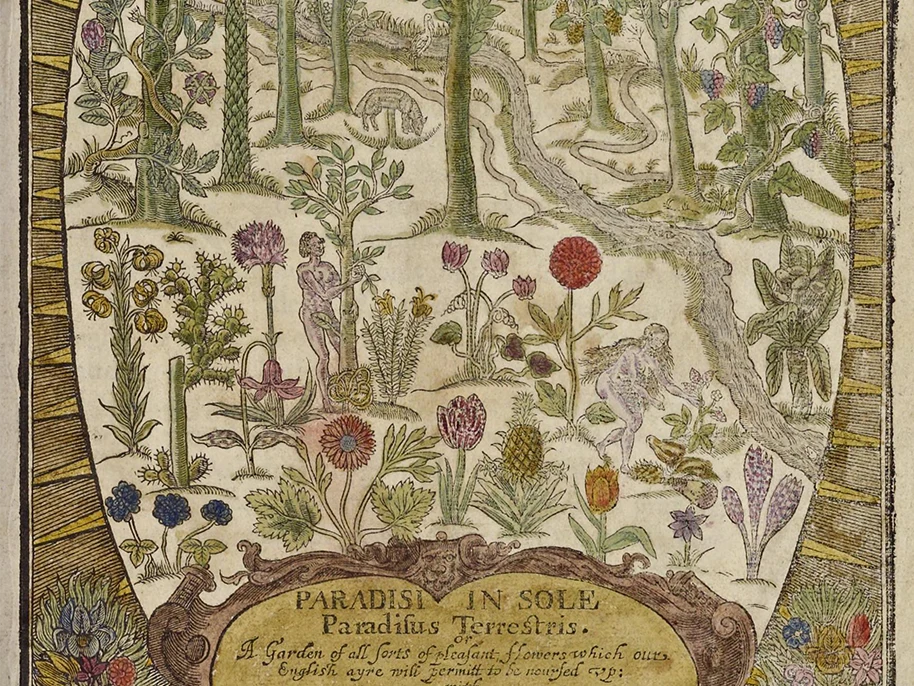 An engraving of the garden of paradise with Adam and Eve, as well as various trees, plants and animals.