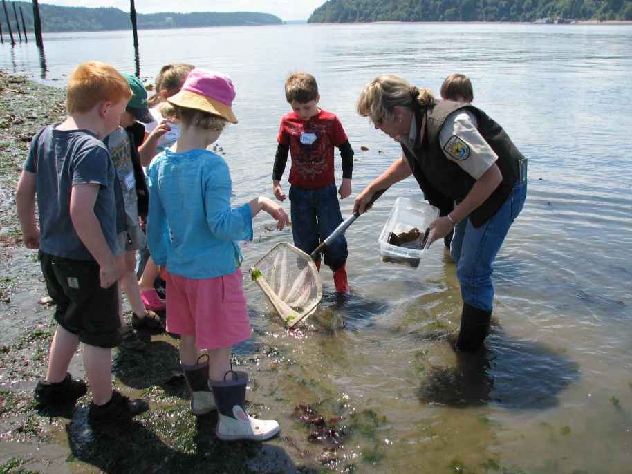 The U.S Fish and Wildlife Service, Rachel Carson’s former employer, have many educational activities allowing children to cultivate their sense of wonder and connection to nature. 
