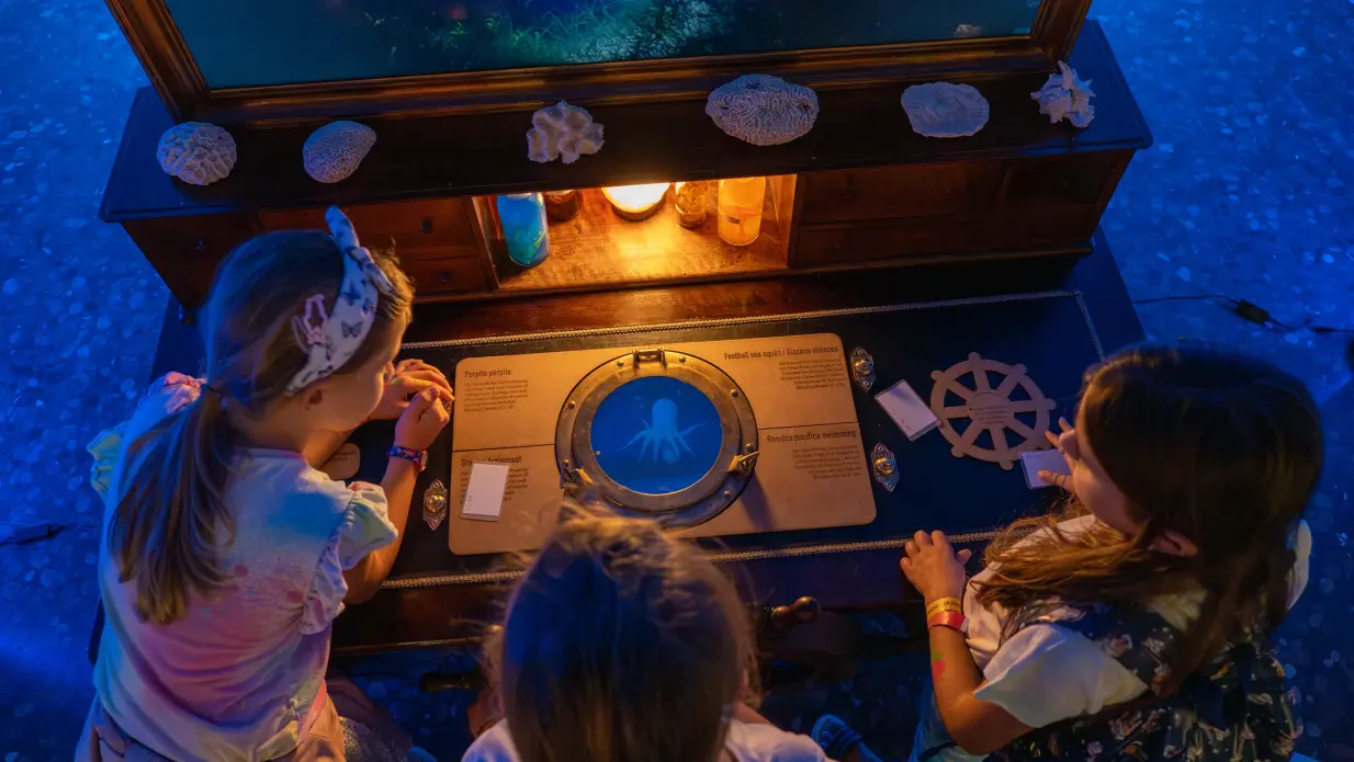 Three girls are standing at the underwater orchestra, admiring a 3D model of an octopus.