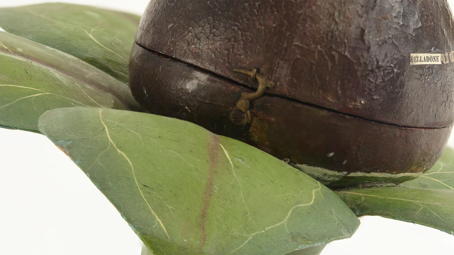 A small hook holds the berry closed.