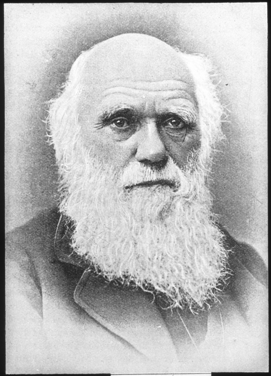 Obwohl sie anscheinend häufig benutzt wurde und ihn auf seinen Reisen begleitet haben soll, hat Charles Darwin (1809-1882) seine Botanisierbüchse nie erwähnt. Manche meinen, das liege daran, dass das Gefäss so weit verbreitet war. Es wurde zum Symbol der Botaniker und sie trugen es immer bei sich. Es war aber auch bei Kindern sehr beliebt.