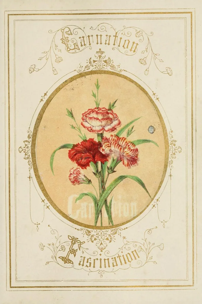 This book describes the language of flowers! Back in the 1800s, it wasn’t always okay to show your feelings. The book explains how flowers can be used to express different feelings, whether to a secret love or an unsuspecting enemy! The book was a hit and many other authors published dictionaries and books explaining the secret meanings of flowers.