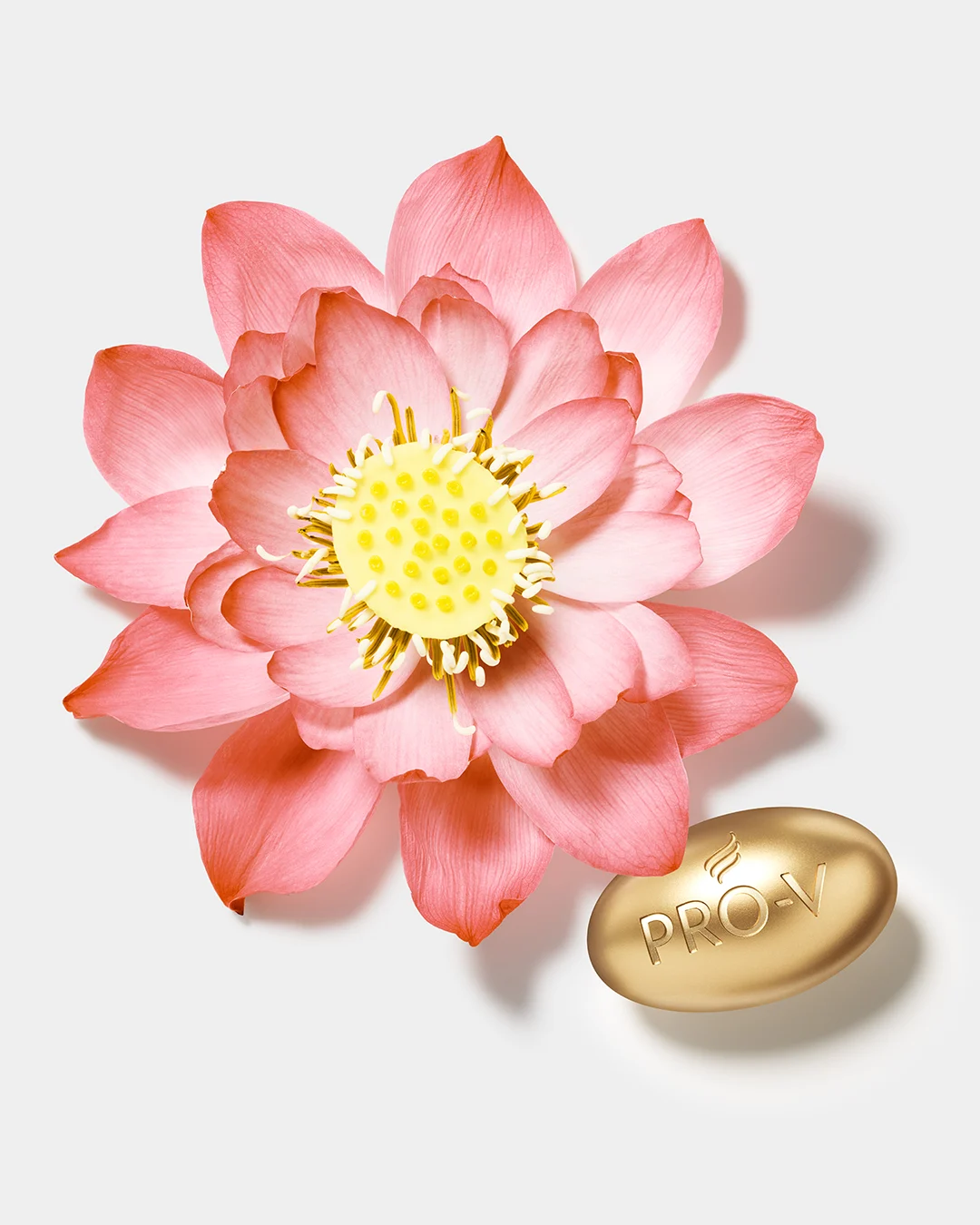 Lotus Flower - Pantene