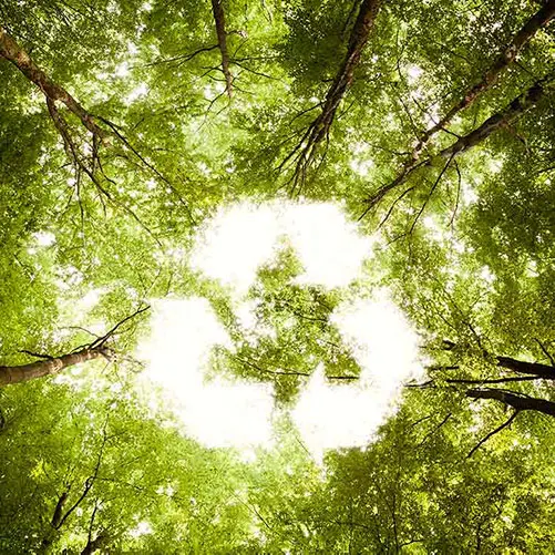 Recycle or Reuse - Pantene