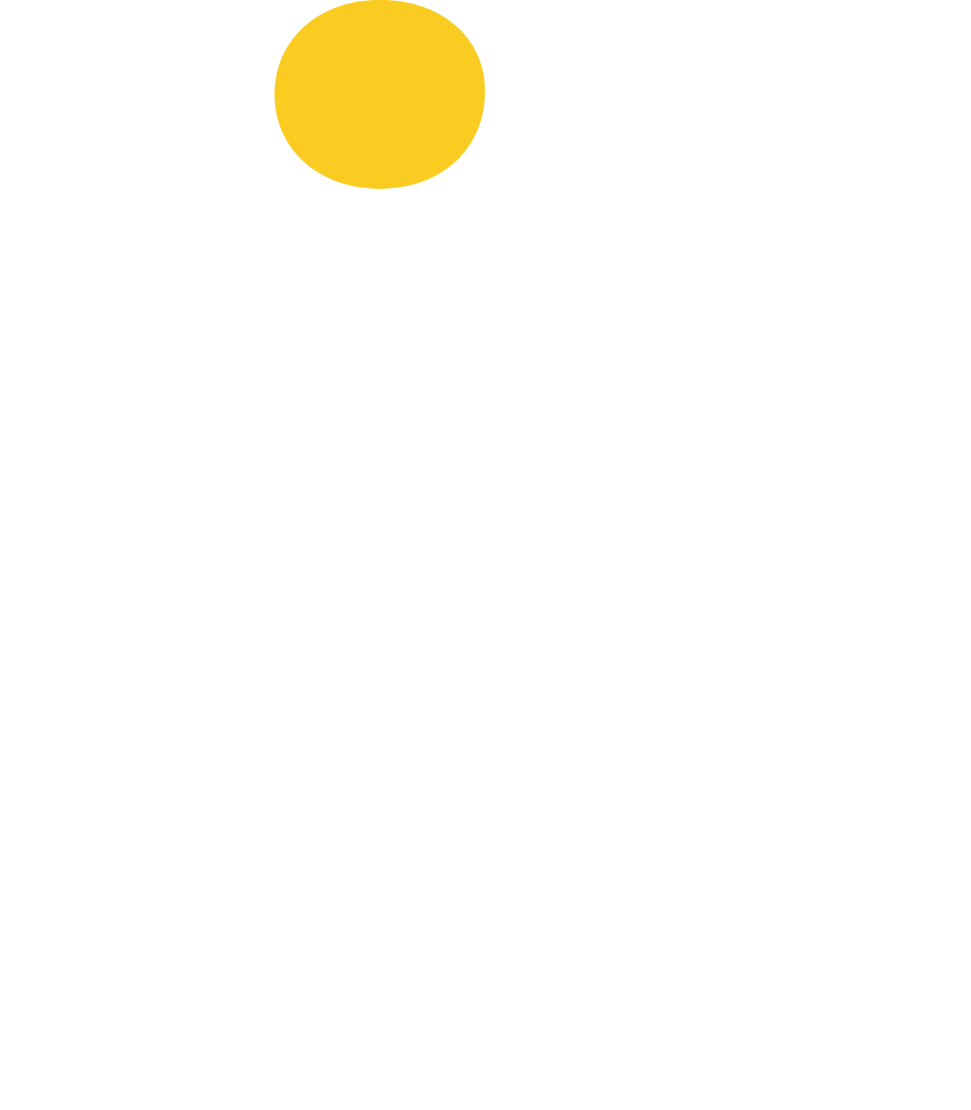 litfibre-logo