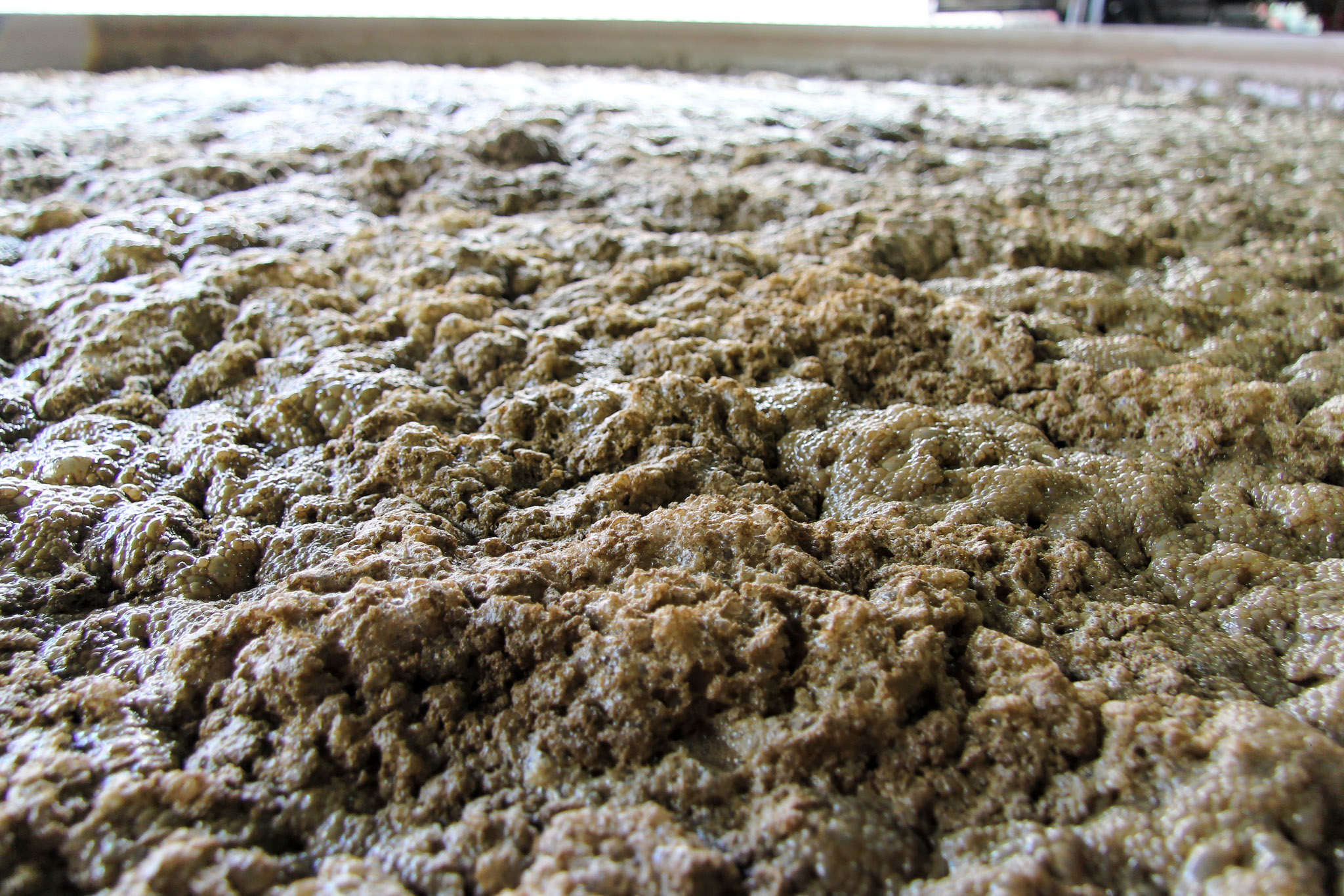 close-up of molasses in a tank