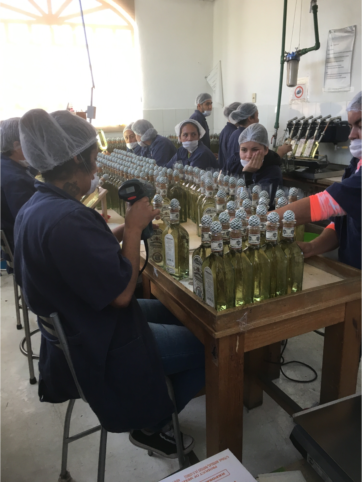women in hairnets processing tequila bottles