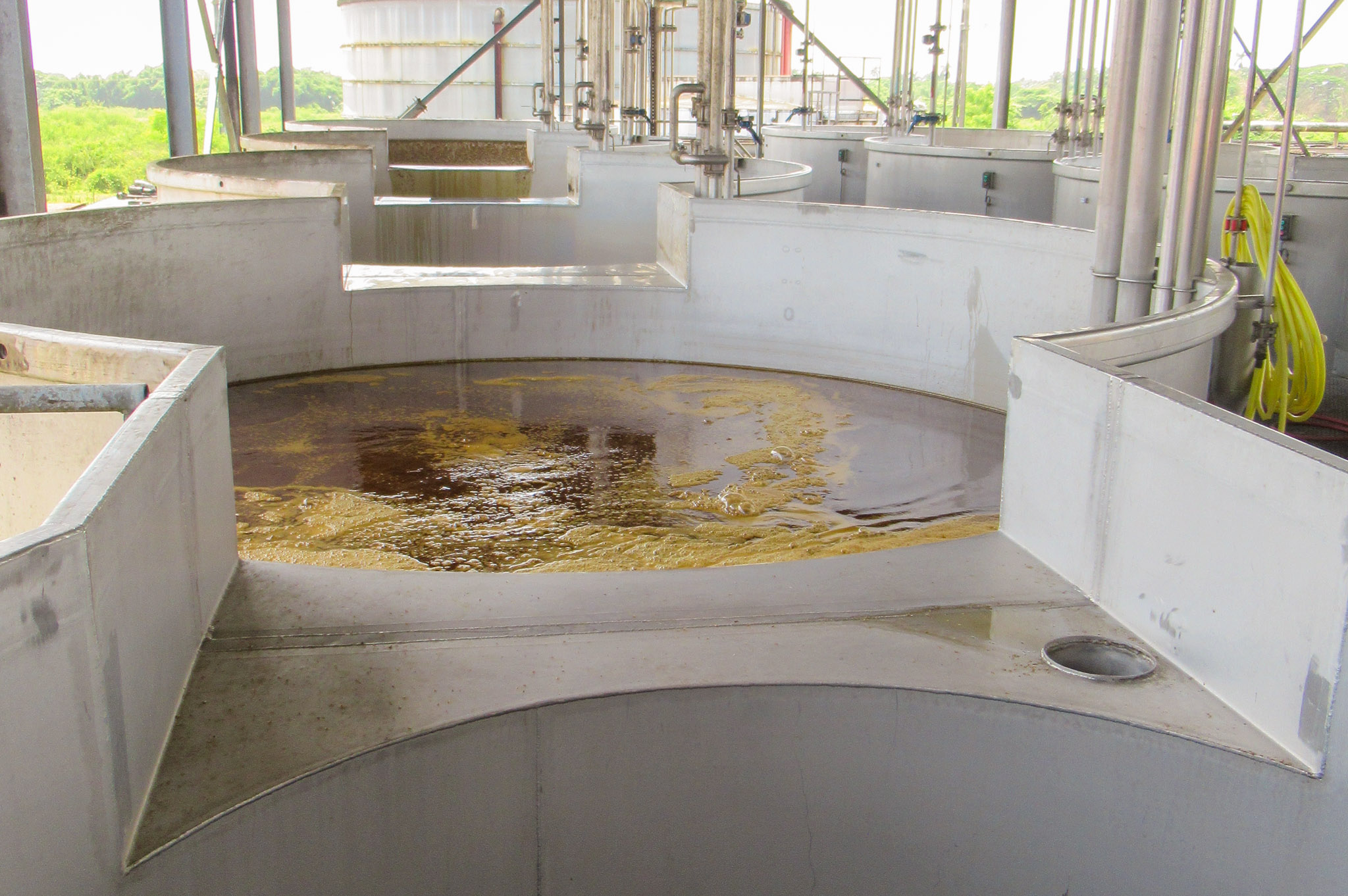 concrete vats filled with fermenting liquid