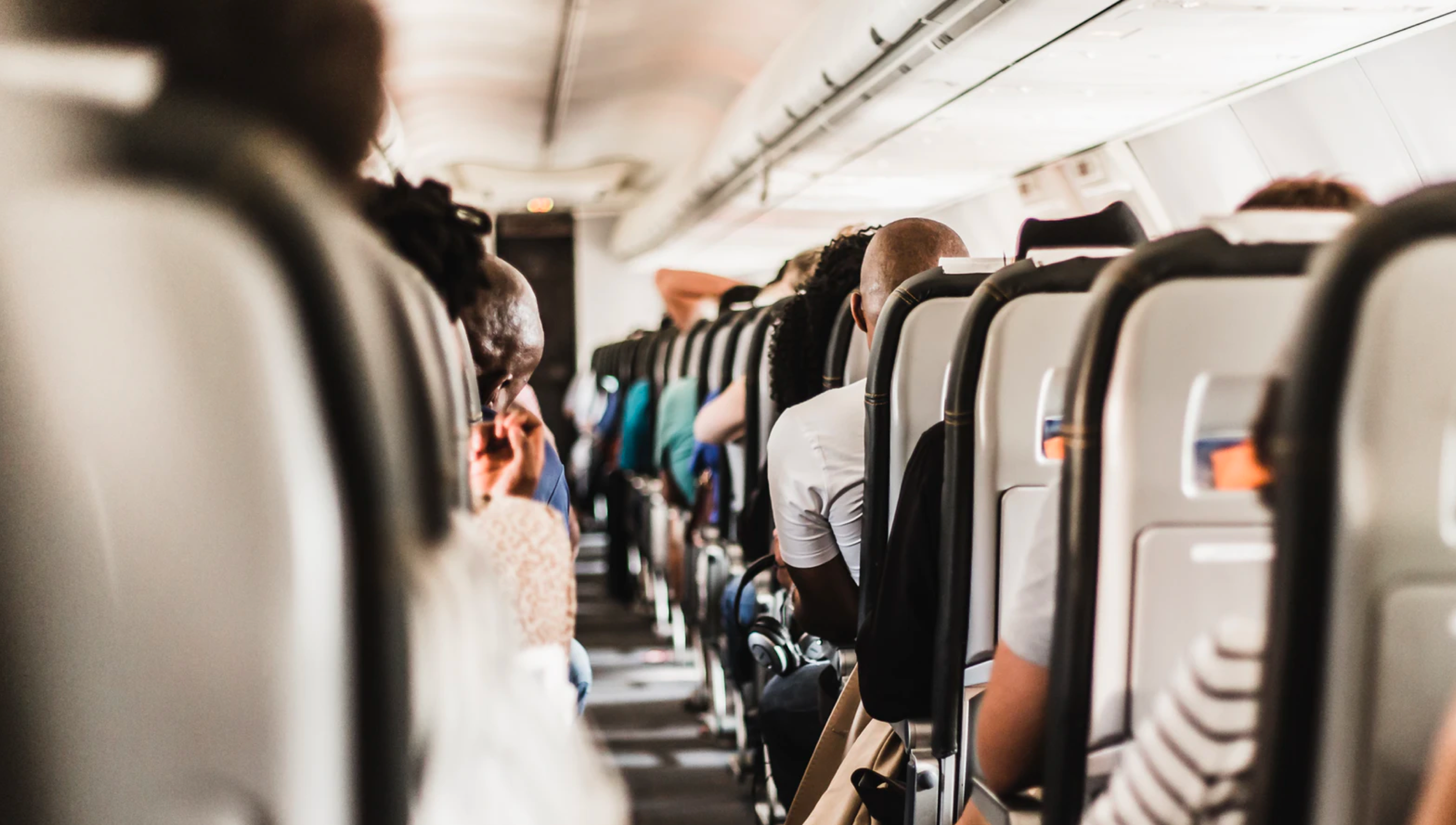 Photo of backs of seats on a plane