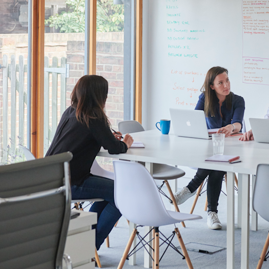Louise and Camille in a meeting