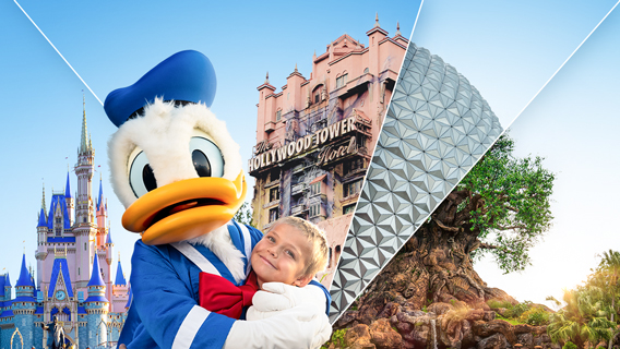 Walt Disney Travel Company: Florida Holidays