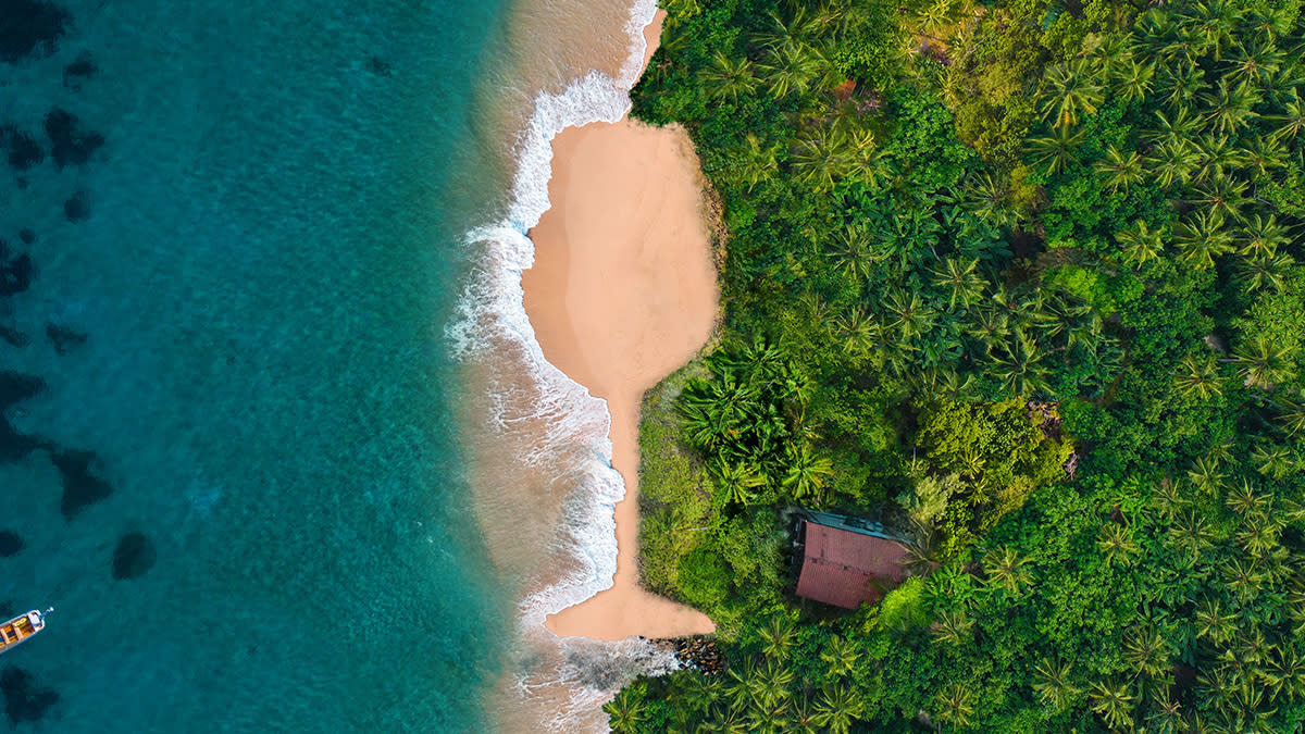 twf-glass-shoreline-v1
