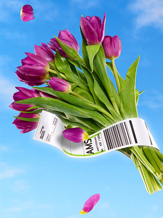 nectar-april-promo-540x720