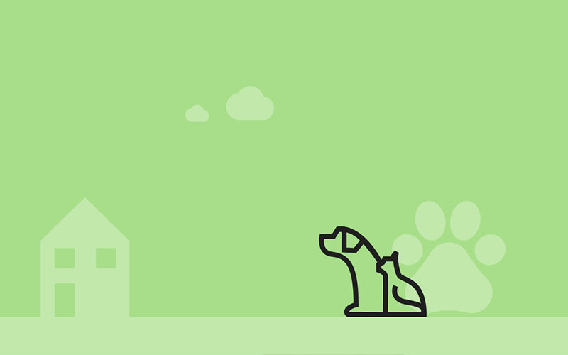 Confused.com Pet Insurance