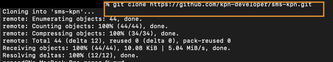 Clone the API repository locally