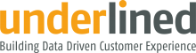 Underlined Buidling Data Driven Customer Experience logo pms 137-445 0