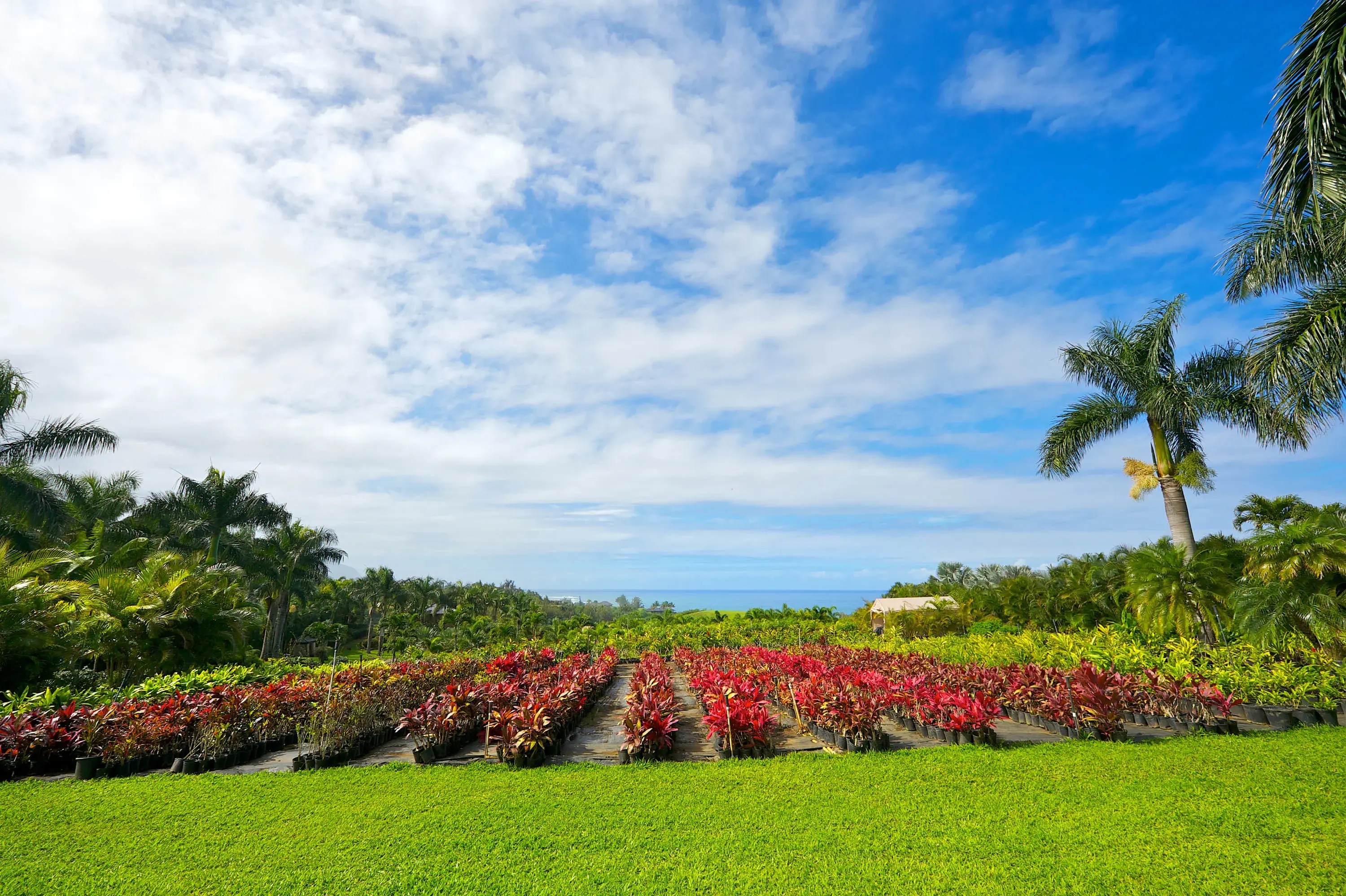 2908B & 2884A Kauapea Road, North Shore, Kauai, Hawaii 96754 Matterport Tour