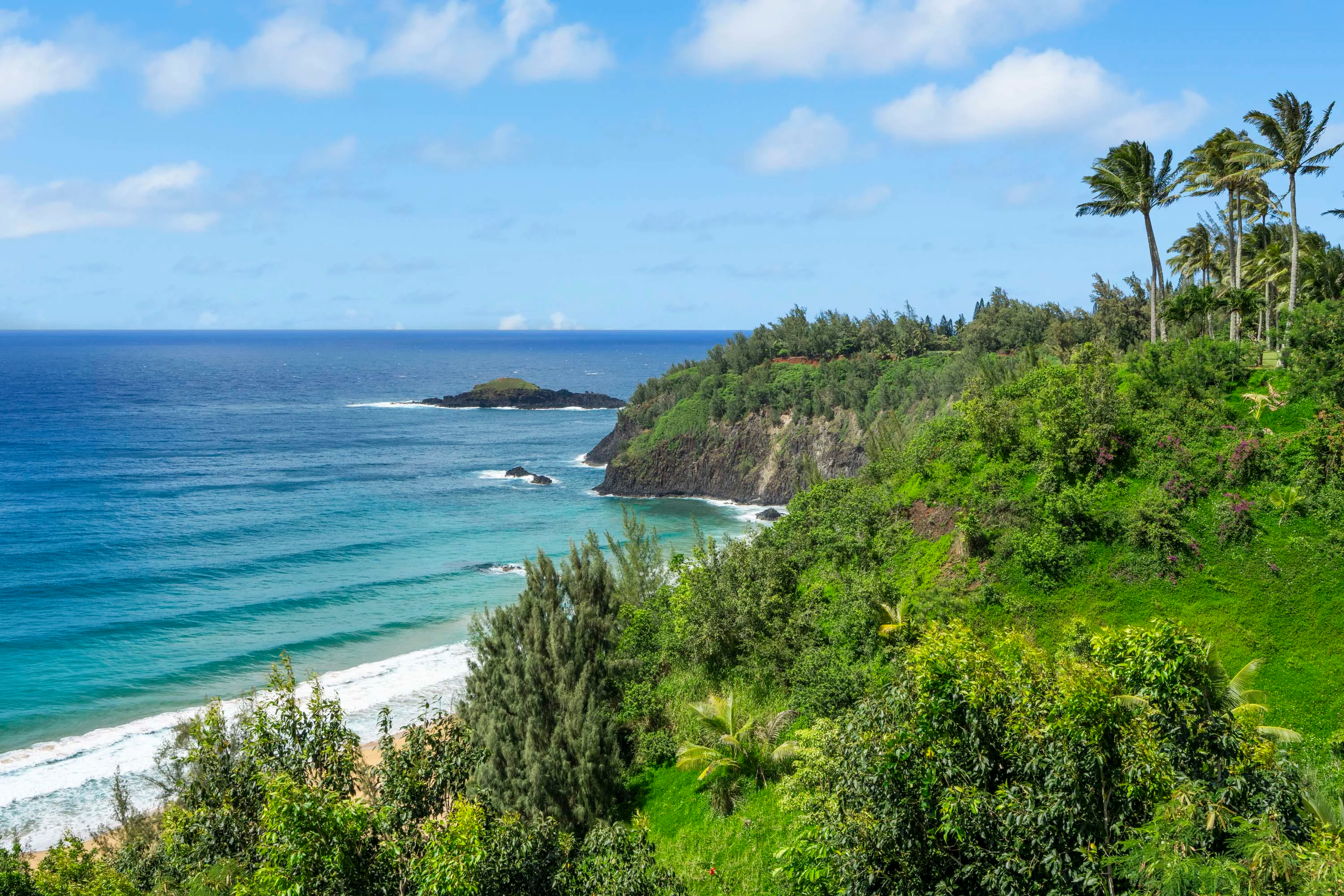 2620 Kauapea Road #A, Kilauea, North Shore Kauai, Hawaii 96754 - 37_2620_Kauapea_Rd_A_Kilauea_HI_swppjp
