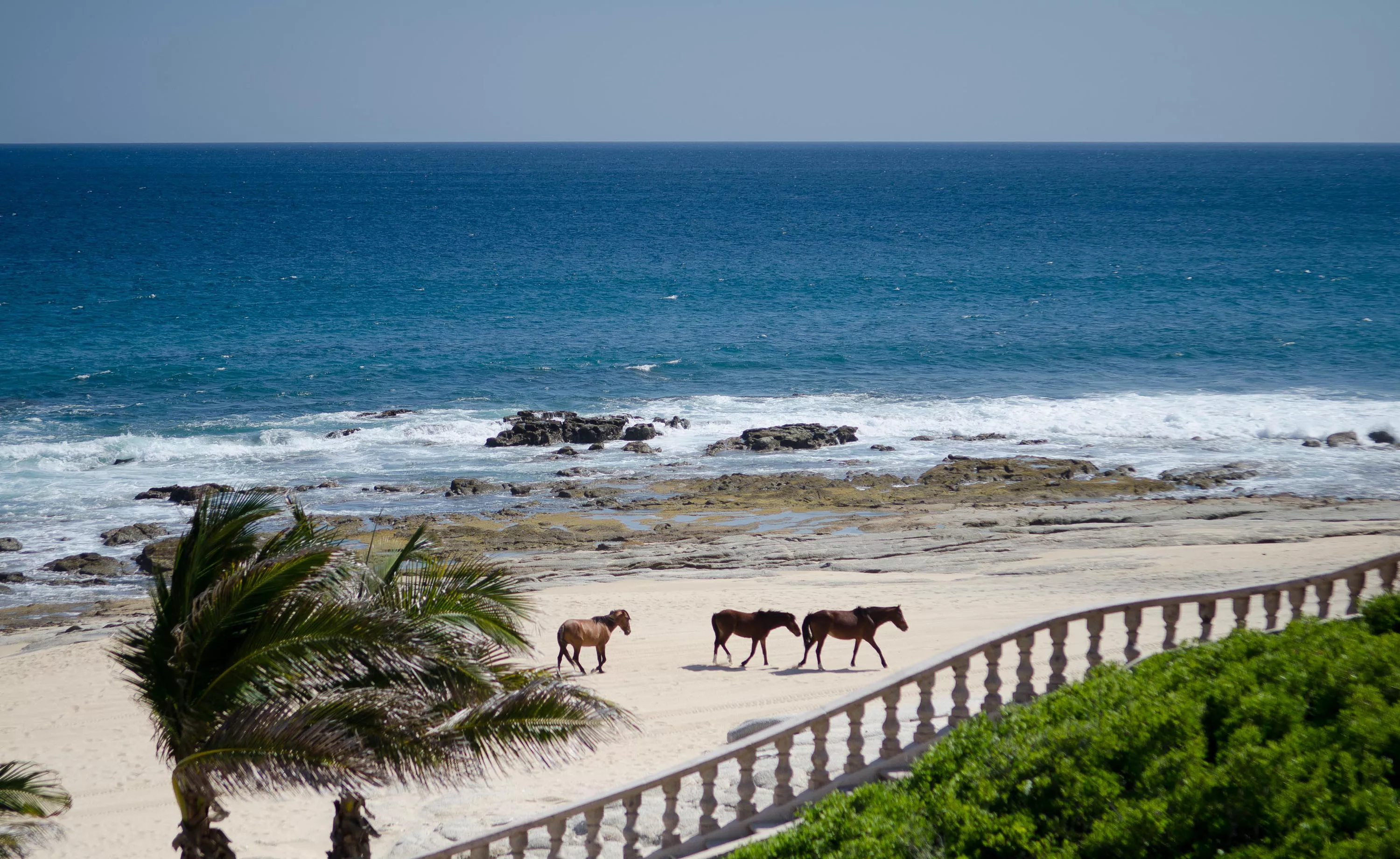 Casa Bellamar, Los Cabos, Baja California Sur 23570, Mexico - casa-del-vinatero-cabo-san-lucas-mexico-17-01-08-58-5858_giwacu