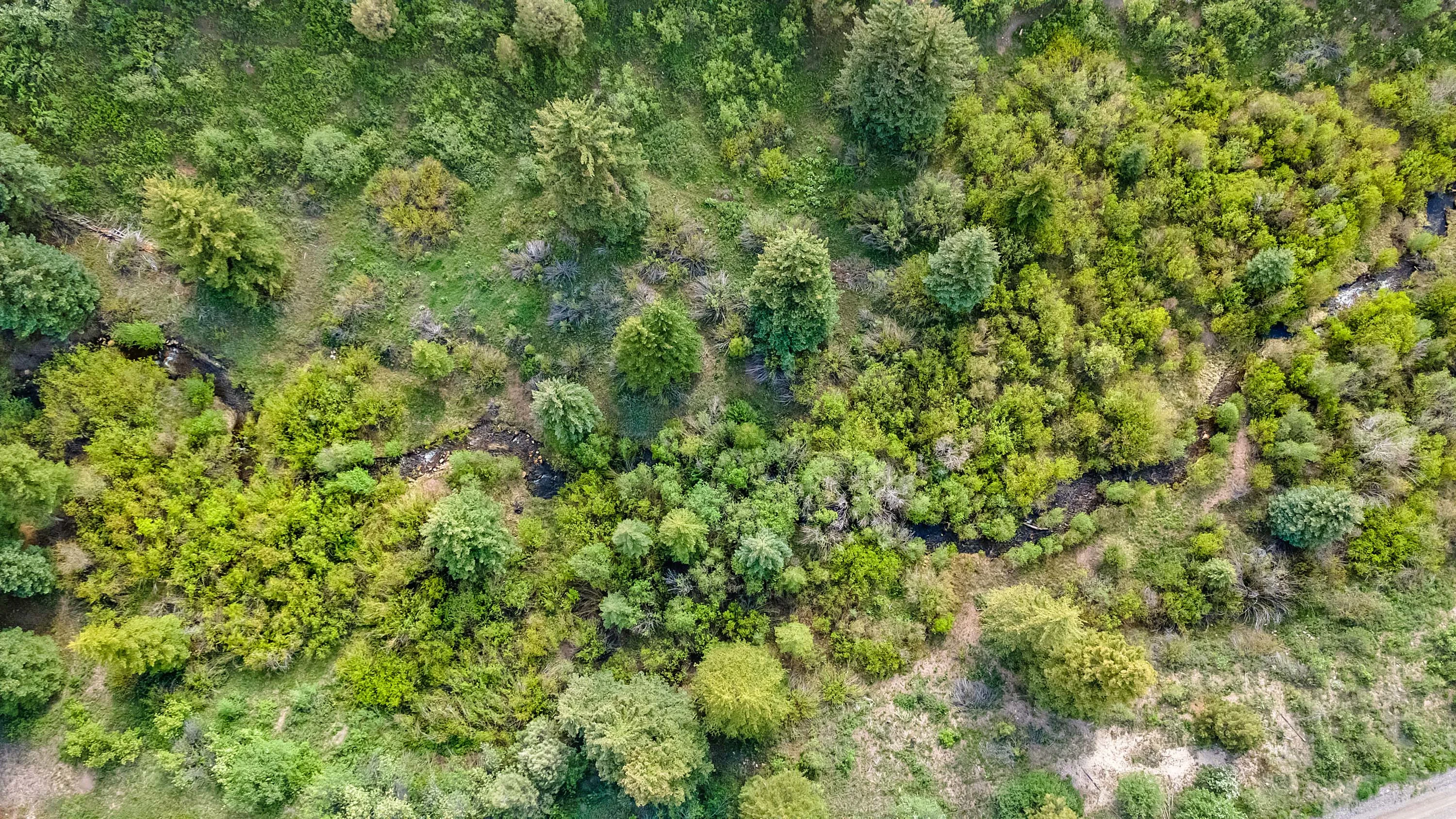 Salt Creek Ranch | 3758 Salt Creek Road, Eagle, Vail Area, Colorado 81631 - 42_-_Salt_Creek_Ranch_Drone_High_Res-21_fr5v4y